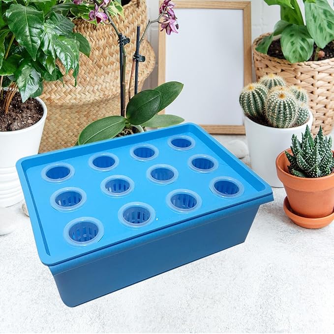 Hydroponic Grower Box Hydroponics Tools 12 Holes Hydroponic System Planting