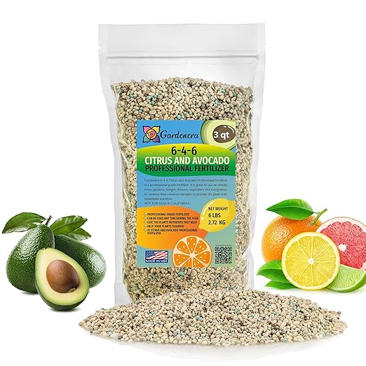 𝐁𝐄𝐒𝐓𝐒𝐄𝐋𝐋𝐄𝐑 6-4-6 Avocado Citrus Tree Plant Food for Outdoor/Indoor Gardening | Quick-Release Nitrogen Fertilizer | Orange Lime Avocado and Lemon Tree Fertilizer (3 Quarts)