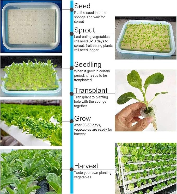 Hydroponic Growing Kits Wall Mounted Hydroponic Grow Kit 28 Plant Sites 4 PVC Pipes Hydroponics Growing System with Water Pump Water Culture Plant Growing System for Leafy Vegetables