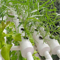 Hydroponic System of PVC Tubes Hydroponic Culture System 36 Holes Large Grid Planting Basket Suitable for Beginners with Water Tank