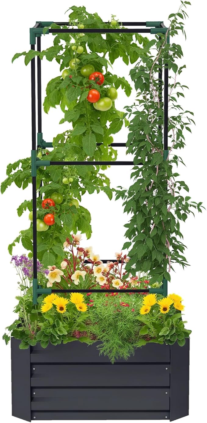 Outsunny Galvanized Raised Garden Bed 55 Tall Outdoor Planter Box with Trellis Tomato Cage and Open Bottom for Climbing Vines Vegetables Flowers in Backyard Garden Patio Dark Gray