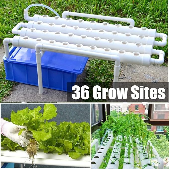 Hydroponics Growing System 36 Holes Culture Garden Plant System with Water Pump Water Culture Plant Growing System for Leafy Vegetables