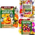 HOME GROWN Pollinator &amp Pumpkin Garden Mix – 40 Pumpkin &amp 20000 Monarch Butterfly Wildflower Seeds &amp 23500 Moss Rose Seeds – Non-GMO USA Heirloom for Outdoor Planting