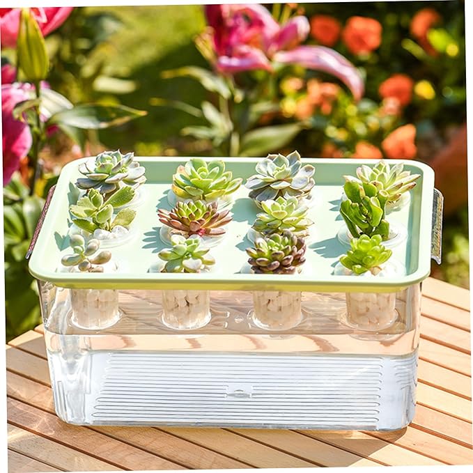 Hydroponic Planter Box 12-Hole Transparent Aquaponics Growing System with Green Lid for Home Balcony or Desktop Decor.