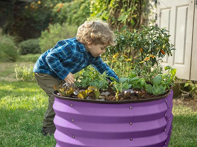 Plant &amp Plot Galvanized Raised Garden Beds Outdoor // 4×2×1 ft &amp 4×4×1 ft Planter Raised Beds for Gardening Vegetables Flowers // Large Metal Garden Box (Purple)