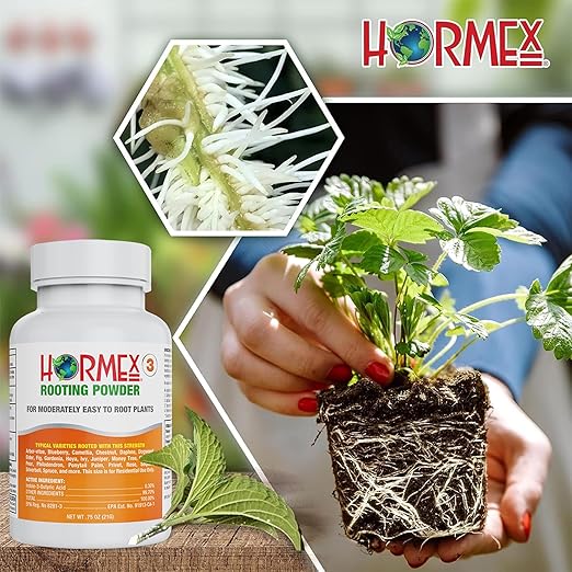 Hormex Rooting Powder #3 &amp Vitamin B1 Hormone Concentrate Combo - Root Stimulator for Semi-Softwood Cuttings &amp Liquid - Perfect for Hydroponics House Plants Gardens Fruits &amp Vegetables