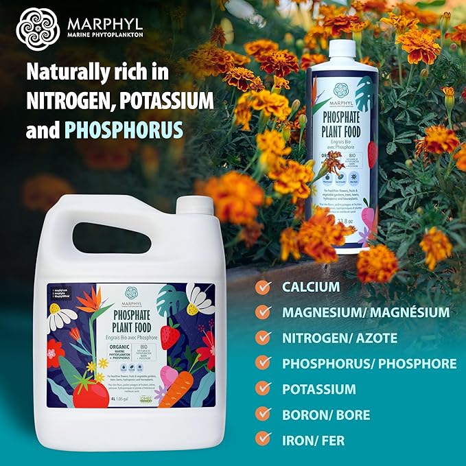 MARPHYL Organic Liquid Phosphate Soil Enhancer – Phosphorus Fertilizer for Root Development &amp Bloom Support Ideal for Garden Flowers Vegetables Succulents &amp Hydroponics