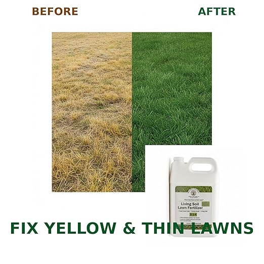 Liquid Lawn Fertilizer for Yellow &amp Heat-Stressed Grass – 5-3-4 Living Soil Lawn Food with Humic &amp Kelp – Lawn Recovery &amp Root Growth Fertilizer – Nature’s Way Soil – 1 Gallon