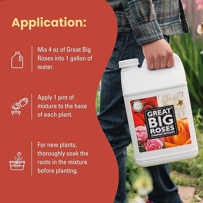 Great Big Roses – Soil and Rose Fertilizer Booster to Grow The Best Roses and Flowers Rose Food Compost Extract for Rose Bush 1 Gallon Concentrate (Makes 32 Gallons)