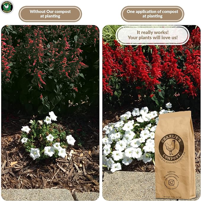 Charlie's Compost - Odor Free Organic Fertilizer for Home Gardens Raised Beds Containers Seed Starting Mix Natural Soil Amendment with Biochar 10lb