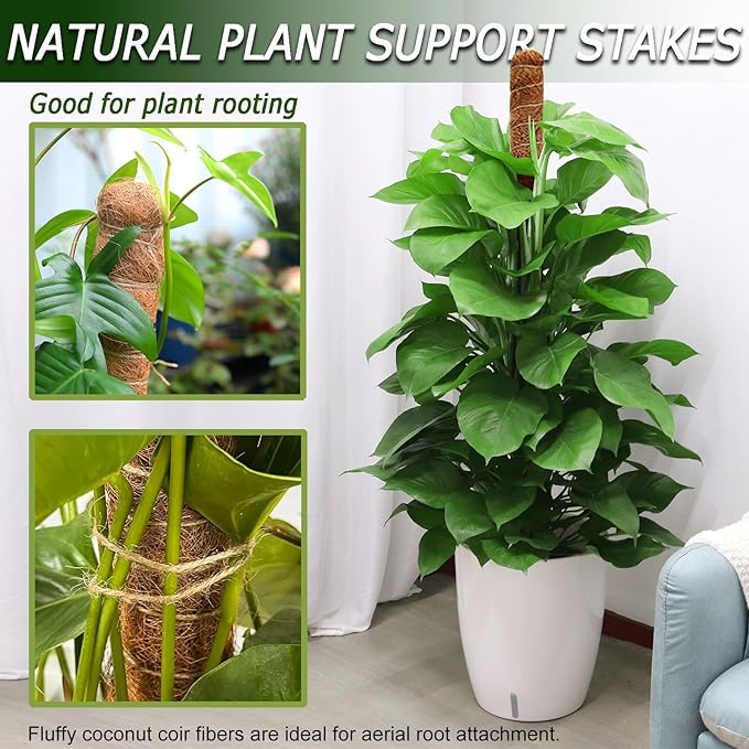 2 Pack 48'' Bendable Moss Pole for Monstera &amp Pothos - Tall Handmade Coco Coir Plant Support Stakes for Large Climbing Indoor Plants Potted Houseplant Trellis Accessories