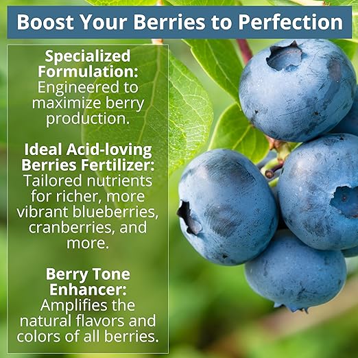 8-4-8 Acidic Fertilizer for Azaleas Camellias (Camelia) Hydrangeas Blueberries Gardenias Magnolia Trees Evergreens and Rhododendrons - Ideal Iron-Rich Plant Food (2 QUARTS)