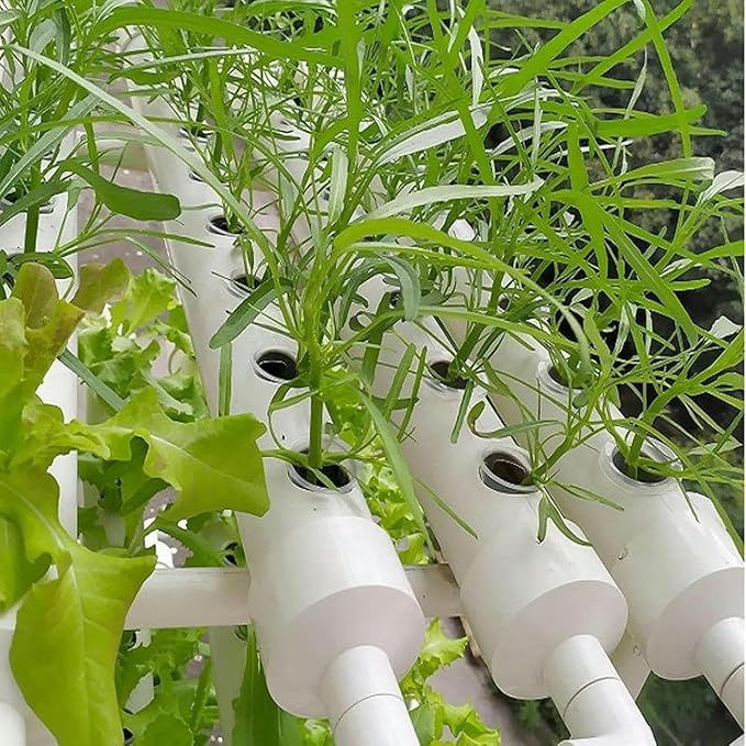 Hydroponics System PVC Pipe Single-Layer 36 Holes Hydroponic with 30L Folding Water Tank Hydroponic Plants for Growing Lettuce... (Pulley Style)