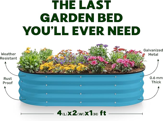 Plant &amp Plot Galvanized Raised Garden Beds Outdoor // 4×2×1 ft &amp 4×4×1 ft Planter Raised Beds for Gardening Vegetables Flowers // Large Metal Garden Box (Teal)