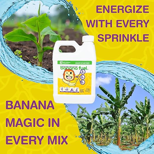 Wellspring Gardens Banana Fuel Liquid Fertilizer - Plant Fertilizer Concentrate - Plant Food - Formula for Banana Trees &amp Plants - Grow Healthy and Happy Plants - 32 fl oz