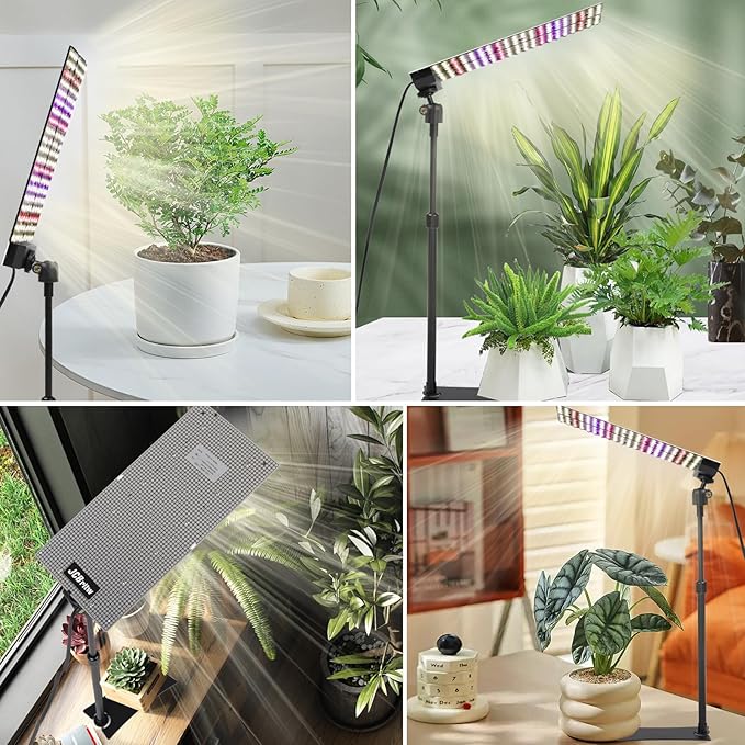 JCBritw 100W LED Grow Light Standing for Indoor Plants Adjustable Plant Grow Lamp on Stand Full Spectrum 90 Degree Lens Desk Plant Light for Seed Starting Seedlings Veg Fruits and Flower