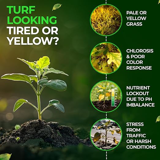 LQ Iron 12-0-0 Liquid Fertilizer for Rapid Green-Up &amp Chlorosis Correction - Perfect Nitrogen Fertilizer with 6% Iron 2% Manganese &amp Low pH for Turf Trees &amp Ornamentals - 1 Gallon
