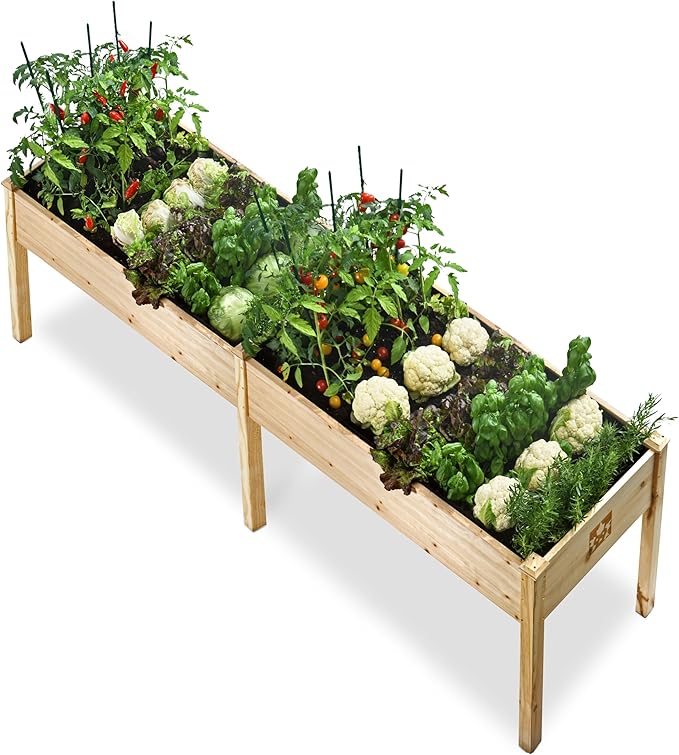 Raised Garden Bed with Legs 72x23x30 - Natural Cedar Wood Elevated Planter Box Veggies Herbs - 300lb Capacity - Natural