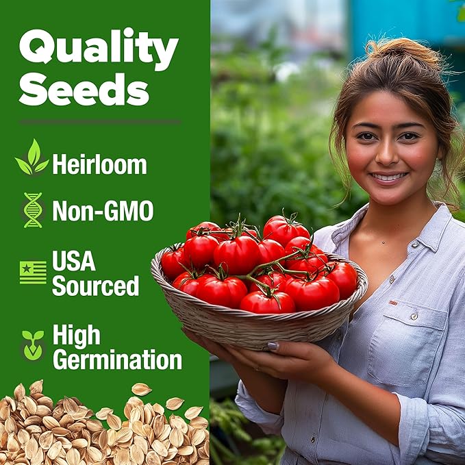 HOME GROWN 𝗨𝗦𝗔 𝗣𝗥𝗘𝗠𝗜𝗨𝗠 Jalapeno Pepper Seeds &amp Beefsteak Tomato 300 &amp Persian Cucumber 50 &amp Detroit Dark Red Beet - 500