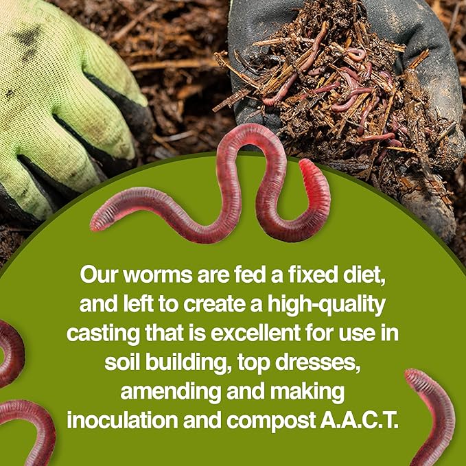 All Natural Vermicompost Worm Castings 25 Pounds