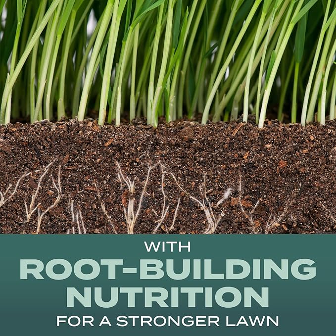 Scotts Turf Builder Grass Seed Dense Shade Mix with Fertilizer and Soil Improver Grows With Little Sunlight 5.6 lbs.