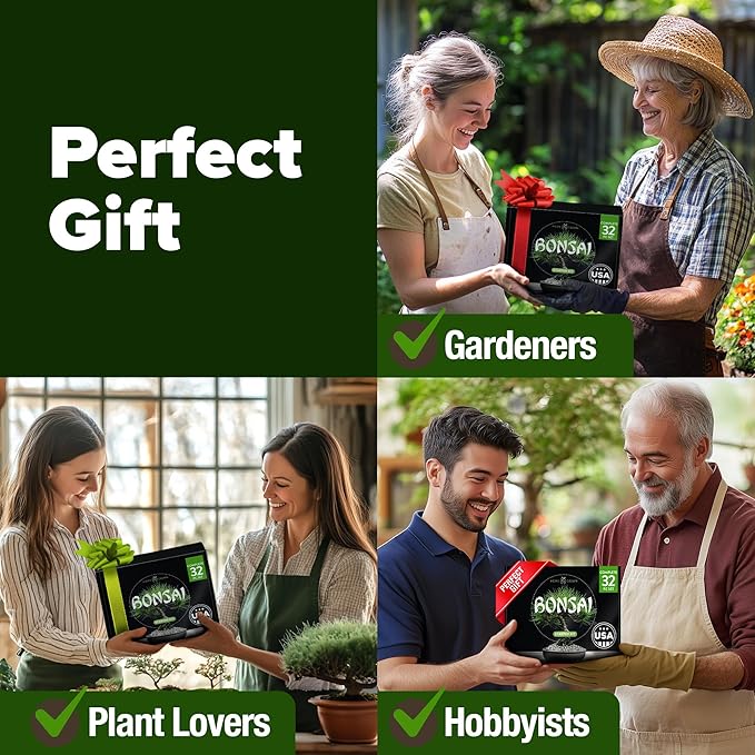 2000+ Vegetable Seeds for Planting - Bonsai Tree Kit - Gifts for Men &amp Women