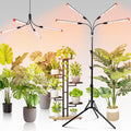 FECiDA Gamechanger! 36 Watt Power Draw NO Need Adapter 4Head Grow Light with Tripod Stand 2026 Big Coverage LED Grow Lights for Indoor Tall Plants Bonsai Tree 4/8/12/16/20H Timer