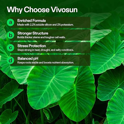 VIVOSUN StemX (0-0-2) Silica for Plants Soluble Liquid Silicon Plant Supplement Fertilizer Nutrient Solution for Strong Stems and Healthy Leaves Boost Resilience pH Balance 8 oz (Pack of 2)