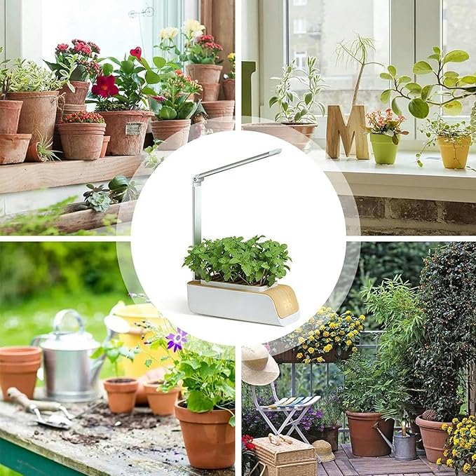 Hydroponic Systems Interior Plants Cultivation Lights Without Seasonal Restrictions Adjustable Height Interior Gardening Kit Suitable for Seedlings/Seeds/Succulents