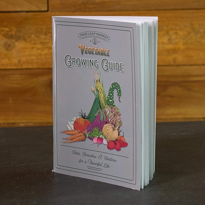 22000 Non GMO Heirloom Vegetable Seeds Survival Garden Emergency Seed Vault 34 VAR Bug Out Bag - Beet Broccoli Carrot Corn Basil Pumpkin Radish Tomato More