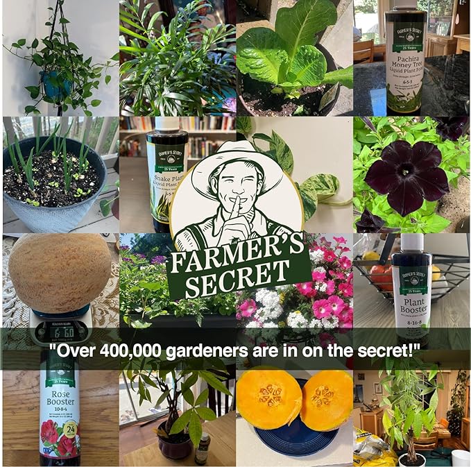 Farmer’s Secret Fruit &amp Bloom Booster Fertilizer (32oz) - Super Concentrated - Boosts Flowering and Yield on All Varieties of Fruits Vegetables and Flowers