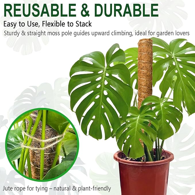 Soupiar 4 Pack 22 Inch Stackable Moss Pole - Thick &amp Sturdy Natural Coir Totem Plant Support &amp Garden Stakes for Monstera &amp Pothos Indoor Climbing Vining Houseplants 70”H Max