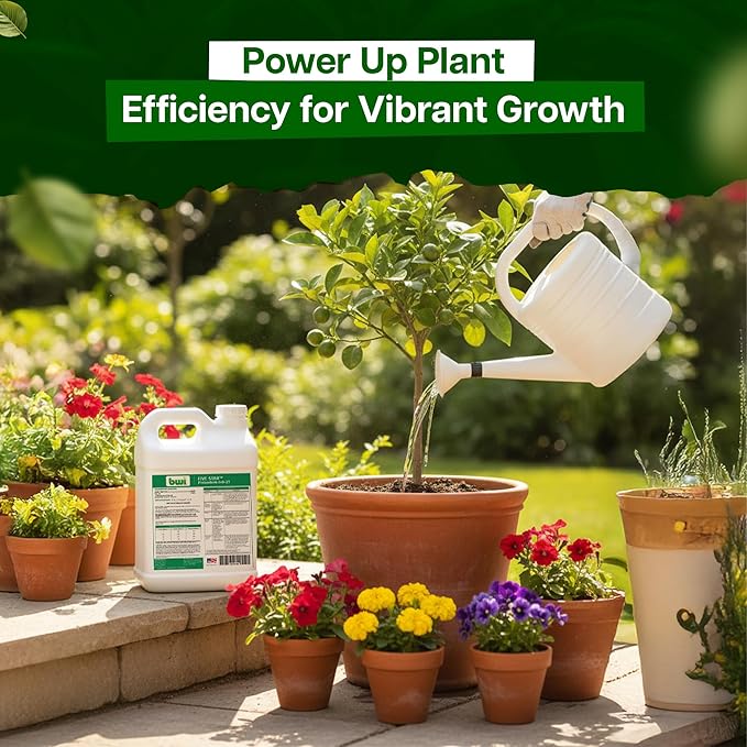 Five Star Turf Liquid Potassium Fertilizer 0-0-25 KTS for Stress Tolerance Foliar &amp Root Uptake - No Chlorides Low Salt Index with Fast-Acting Potassium for Turf Lawns &amp Sports Fields - 2.5