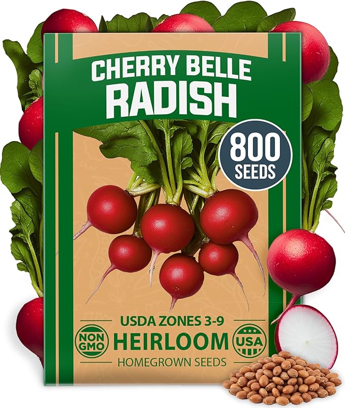 Root Vegetable Seed Variety Pack – Over 8600 Non-GMO USA Heirloom Seeds: Arugula Tendersweet Carrots Detroit Dark Red Beets &amp Cherry Belle Radish – Fast Growing for Spring &amp Fall Gardens