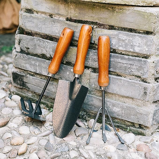 Garden Tools Set 3 Piece Gardening Hand Kit Includes Hand Trowel Rake Dual-Purpose Hoe Gardening Tools Gift for Women Men