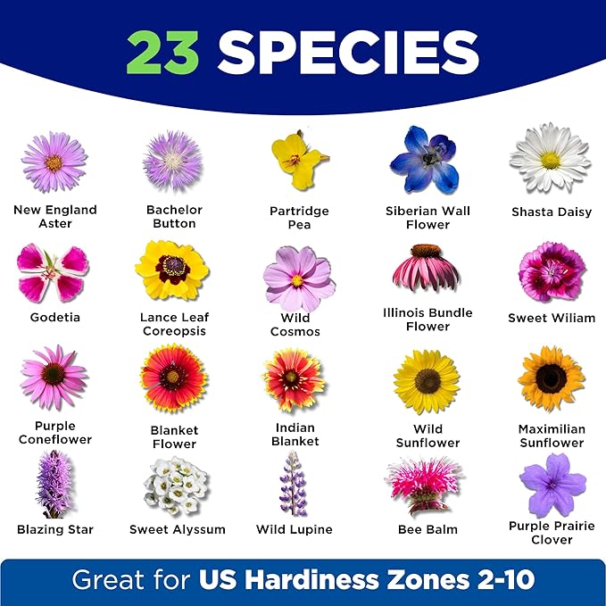 Camas Wildflower Seeds Bulk 1/4 lb – Perennial &amp Annual Wildflower Seed Mix for Planting Outside Pure Seed No Fillers Wild Flower Seeds Throw and Grow for Bees &amp Pollinators