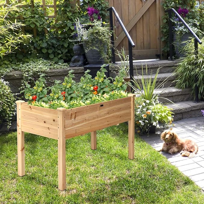 Giantex Raised Garden Bed Wood Planter Box with Legs Drain Holes Elevated Garden Bed for Vegetables Standing Garden Container Planter Raised Beds for Backyard Patio 49 Lx23 Wx30 H