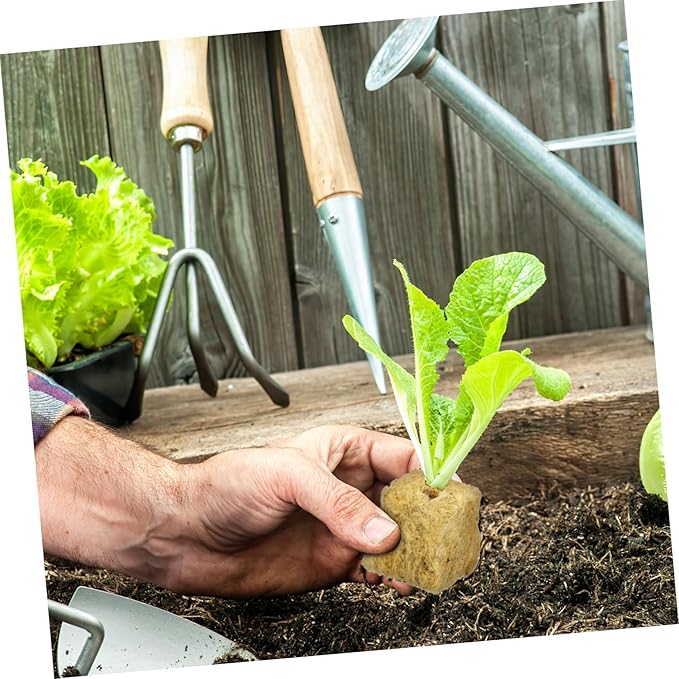 BESPORTBLE 100pcs Soilless Culture Plant Cubes Hydroponic Planting Cubes Air Permeability Water Retention for Indoor Gardening