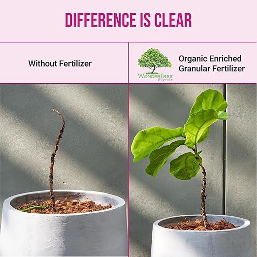 Eden Rose &amp Flower Organic Enriched Fertilizer | Neem Plant Food-7-5-3 Enriched Formula | for Best Flower Growth (5lbs)