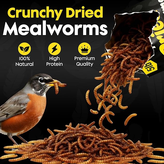 Dried Mealworms for Wild Birds - Crunchy Meal Worms for Wild Birds - High Protein Dried Mealworms for Bluebirds Cardinals &amp Woodpeckers - Premium Backyard Bird Treat - All Natural Bird Food (5lbs