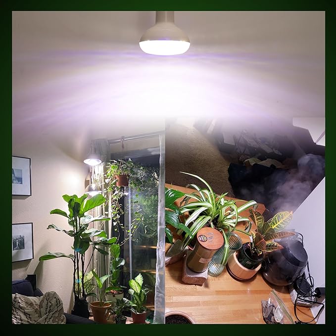Full Spectrum BR30 Led Plant Grow Light Bulbs 15W 2000lmE26 BR30 Floodlight Sun Plant Growing Lamp200 Watt EquivalentBalanced Spectrum 5000K Red Blue for Seeds GreensIndore Garden Hydroponic2pcs