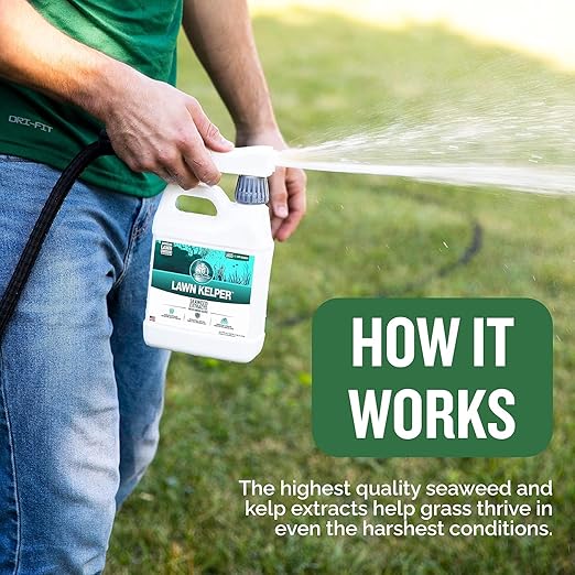 Turf Titan Lawn 360 Mid-Summer Lawn Care Bundle – Amazing Lawn Kelper + Root Booster Kit Each with Hose End Sprayer – Organic Seaweed and Soil Conditioner for All Grass Types – Lawn Fertilizer