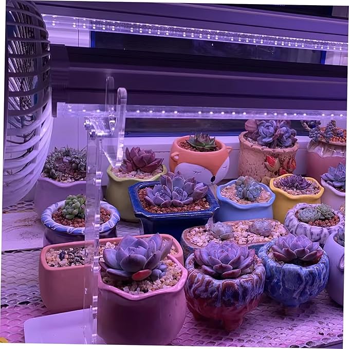 Professional Vertical Grow Light Stand for Indoor Plants Adjustable Height Acrylic Frame for Succulent Efficient LED Lighting