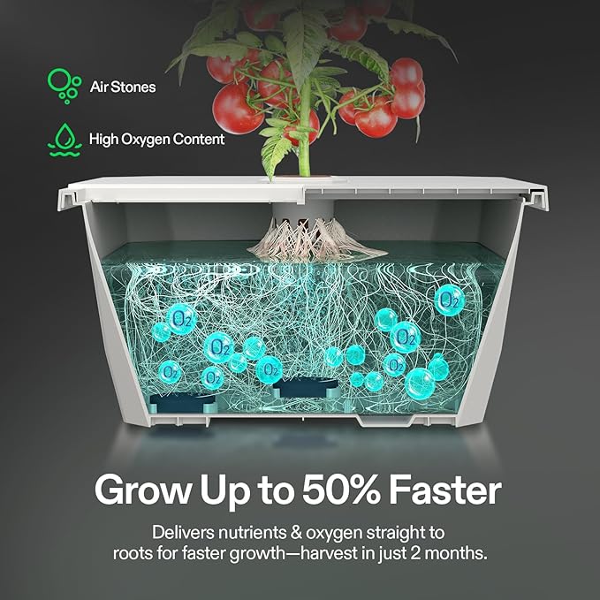 VIVOSUN VGrow DWC Hydroponics System Kit Only for VGrow Smart Grow Box Not Compatible with E42A/E42A+/A22/A10Not Used in Grow Tent 4-Gallon with Air Stones &amp Rapid Rooters