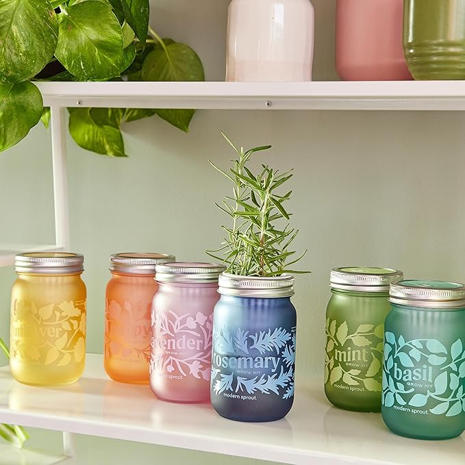 Modern Sprout Mason Garden Jar - Self-Watering Hydroponics Growing System Kit w/Organic Herb Seeds - Jar Planter for Indoor Herb Garden - Seed Starter Kit - Easter Gifting &amp Decor-Mint+Rosemary+Po