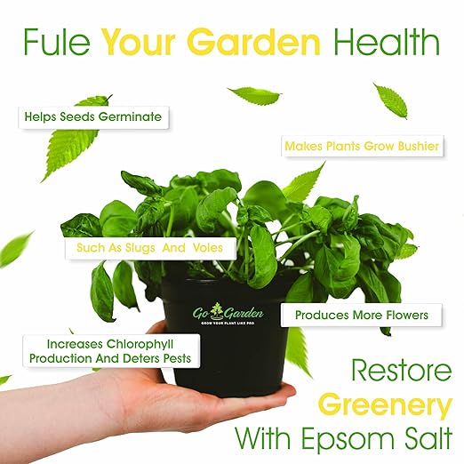 Go Garden Epsom Salt Magnesium Sulphate | Micro- Nutrient for Plants | Fertilizer for Plant Growth Vegetables and Plant Nutrient Terrace Garden- 0.5 Kg
