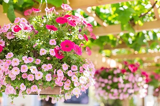 Dripworks Hanging Basket Drip Irrigation Kit | Waters Upto 20 Hanging Baskets | Agricultural Grade Components