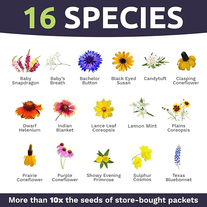 Texas Oklahoma Regional Mix Seeds for Planting - Bulk 1 Pound Bag - Over 240000 Native Seeds - Open Pollinated and Non GMO