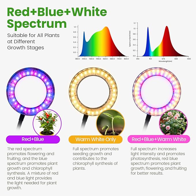 Desk Grow Lights for Indoor Plants Red Blue Full Spectrum Desktop LED Plant Growing Lamps Height Adjustable 13.7-24.2inch 3/9/12H Auto Timer10 Levels Dimmable Black Table Growth Light