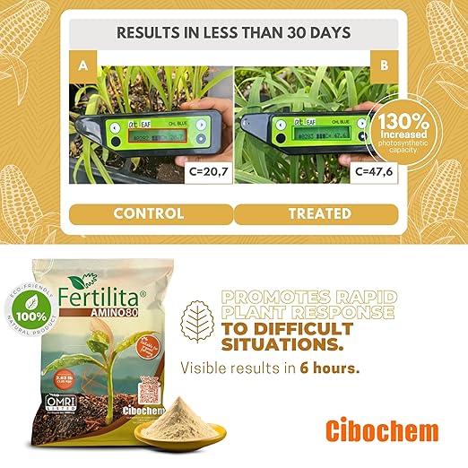 Amino ACIDS 80% More Concentrated - for Indoor and Outdoor Plants LAWNS Vegetables and Fruit Trees - Supports Robust and Vigorous GrowthBetter YIELDS - Water Soluble Won't Burn